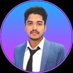 Asharib K. - Lead Software Engineer - Web, .NET and ERP Platforms