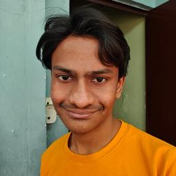 Ayan S. - Junior Mobile Engineer - Flutter, Node.js and API Development