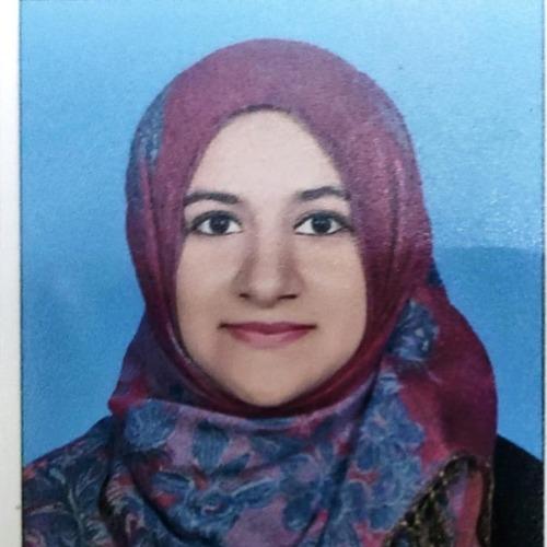 Ayesha Z. || item.role}