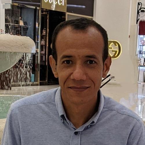 Ayman N. || item.role}