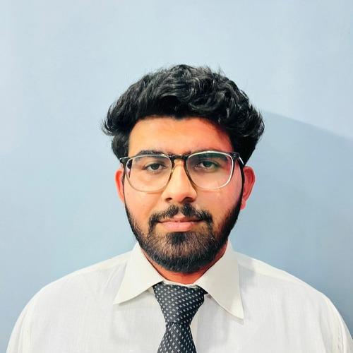 Ayush L. || item.role}