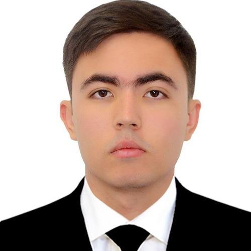 Aziz B. || item.role}