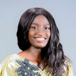 Bakare C. - Software Engineer - Web, Design and General Development