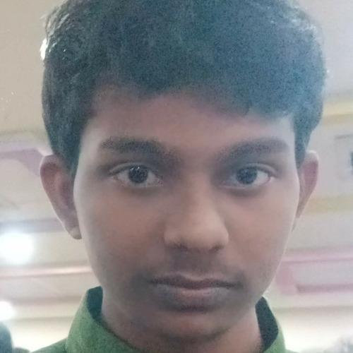 BalaSai S. || item.role}