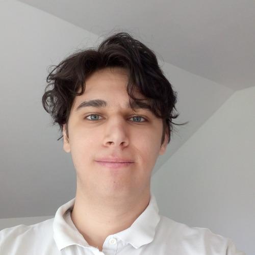 Bence D. - SvelteJs Developer