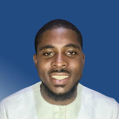 Borokini P. || item.role}