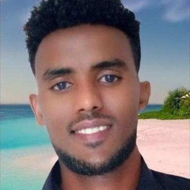 Brhane Teamrat G. - Software Engineer - Full-Stack, Web and Mobile Platforms