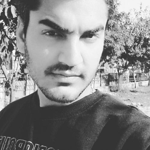 Charanjeet S. - Shopify Developer