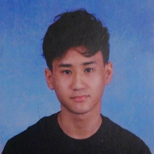 David N. || item.role}