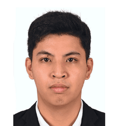 David T. - Junior Software Engineer - Frontend, AI and Web Development