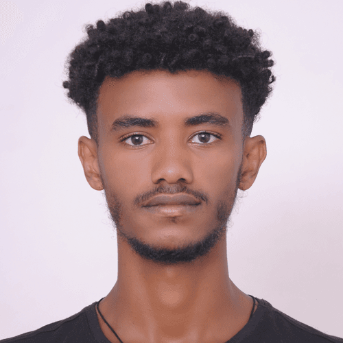 Dawit  H. - Data Science Engineer