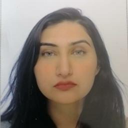 Deebaj I. - Software Engineer - Mobile, Web and General Development