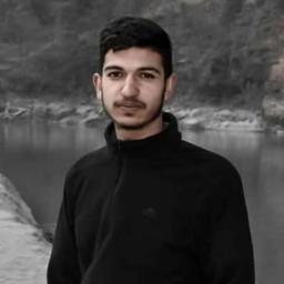 Dheeraj L. - Software Engineer - Full-Stack, PHP and Modern Frameworks