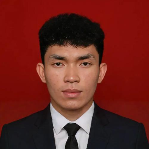 Dian M., developer