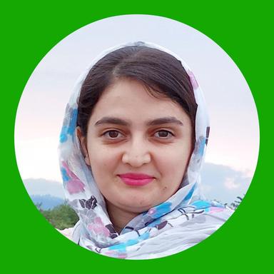 Dina M. - Software Engineer - Web, PHP and WordPress Platforms