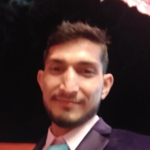 Dinesh k. || item.role}