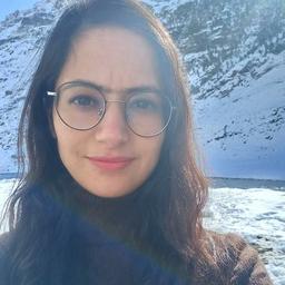 Disha S. - Lead Mobile Engineer - Flutter, React Native and App Development