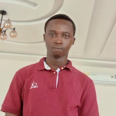 Donald K. - Software Engineer - Backend, Modern Frameworks and General Development