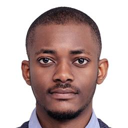 Ebuka N. - Software Engineer - AI, Blockchain and Cybersecurity Platforms
