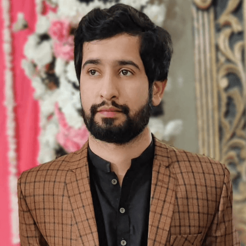 Ehtasham F. || item.role}