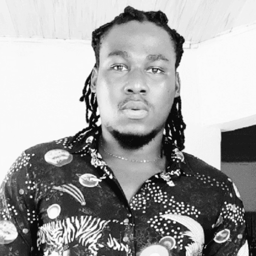 Profile of Ekene I., Lead Software Engineer - Cloud, Full-Stack and AI Platforms at Softaims