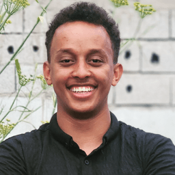 Elyas D. - Senior Frontend Engineer - JavaScript, Vue.js and Web Development