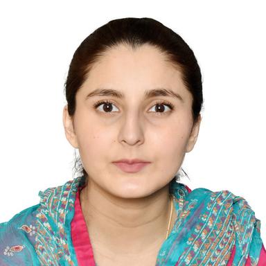 Emman Z. at Softaims Emman Z. - Junior Full-Stack Engineer - React, JavaScript and SaaS Platforms