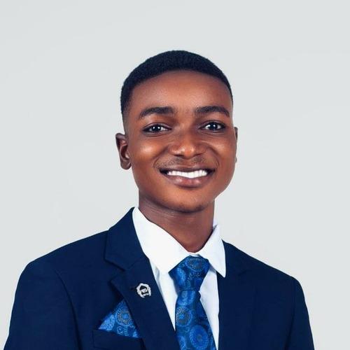 Emmanuel A. || item.role}