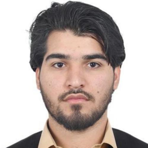 Profile of Enyatullah U., Junior Full-Stack Engineer - React, Node and AI Platforms at Softaims