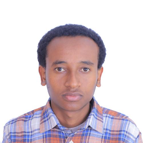 Profile of Ephrem S., Software Engineer - AI, Cloud and Full-Stack Development at Softaims