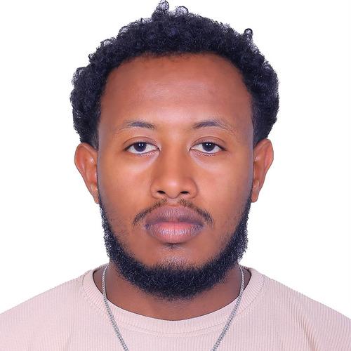 Ermias B. || item.role}