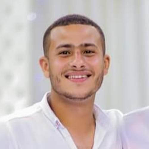 Fady E. - Bootstrap Developer