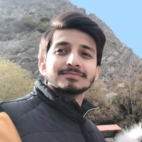 Faizan A. || item.role}