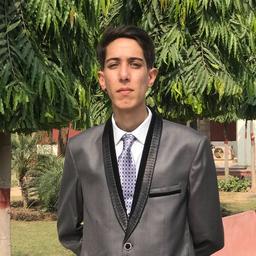 Faizan B. - Software Engineer - Frontend, Modern Frameworks and Mobile Platforms