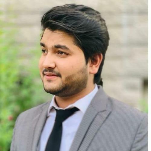 Faraz H. || item.role}