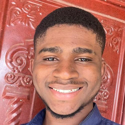 Profile of Fasan O., Software Engineer - Frontend, Web and WordPress Platforms at Softaims