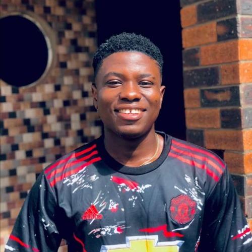 Profile of Favour C., Junior Software Engineer - Backend, Cloud and AI Platforms at Softaims