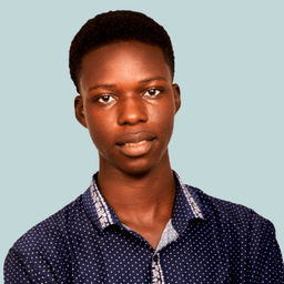 Favour  I. - Junior Software Engineer - Web, Design and General Development