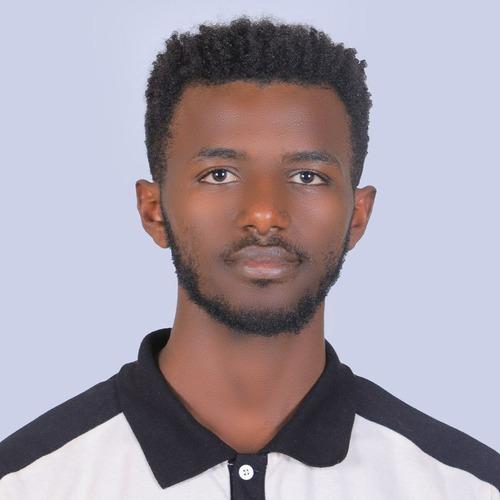 Profile of Fekede A., Junior Full-Stack Engineer - React, Node.js and API Development at Softaims