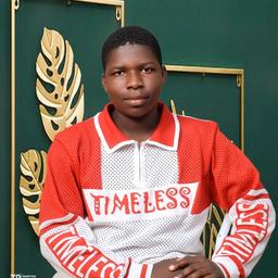 Felix A. - Junior Software Engineer - Web, WordPress and General Development