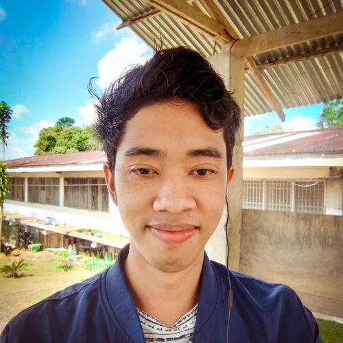 Profile of Felix A., Full Stack Developer at Softaims
