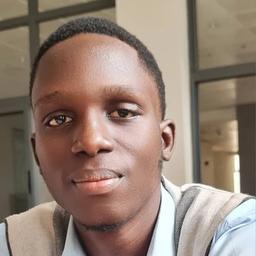 Festus O. - Software Engineer - Web, Backend and General Development