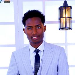 Firomsa A. - Software Engineer - AI, Web and General Development