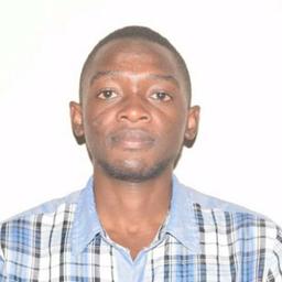 Fiston M. - Software Engineer - Backend, Web and Mobile Platforms