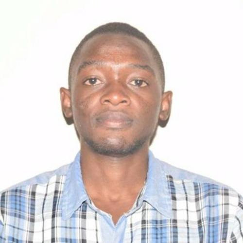 Fiston M. || item.role}