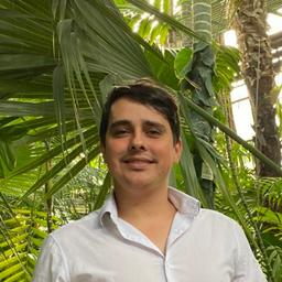 Florin B. - Lead Software Engineer - Mobile, AI and Web Platforms