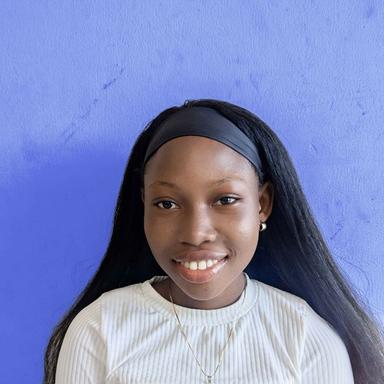 Folagbade O. - Software Engineer - Web, Mobile and General Development