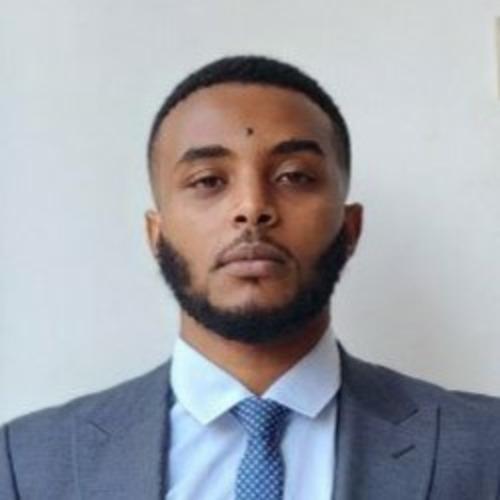 Franol F., developer