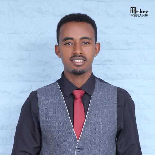 Profile of Gizaw A., Full Stack Developer at Softaims