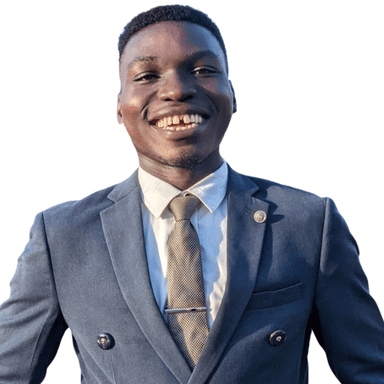 Godswill O. - Software Engineer - Backend, Web and General Development